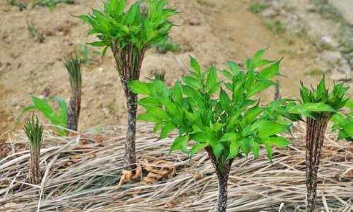 经期用药禁忌网 - 为你提供经期用药禁忌大全、经期用药有什么危害