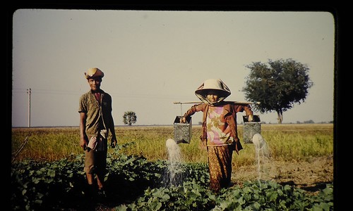 经期用药禁忌清单-经期用药禁忌网 - 为你提供经期用药禁忌大全、经期用药有什么危害